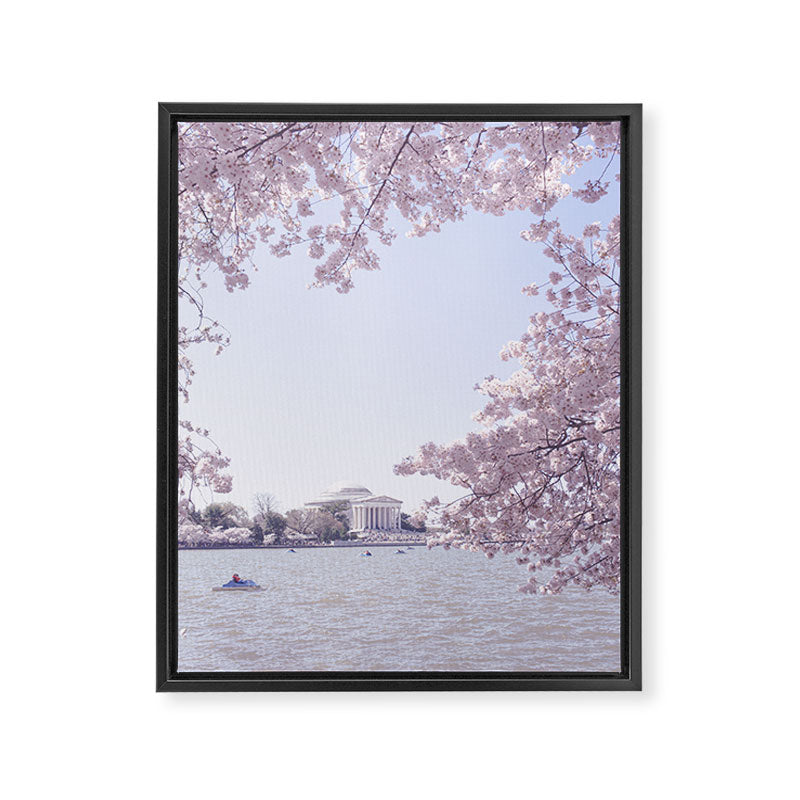 Cherry Blossoms in Washington DC x DC Photography Framed Canvas Print Gallery Image 6
