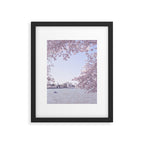 Cherry Blossoms in Washington DC x DC Photography Framed Art Print Gallery Image 5