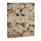 Chihuahuan Desert Cactus x West Texas Photography Canvas Print Gallery Image 6