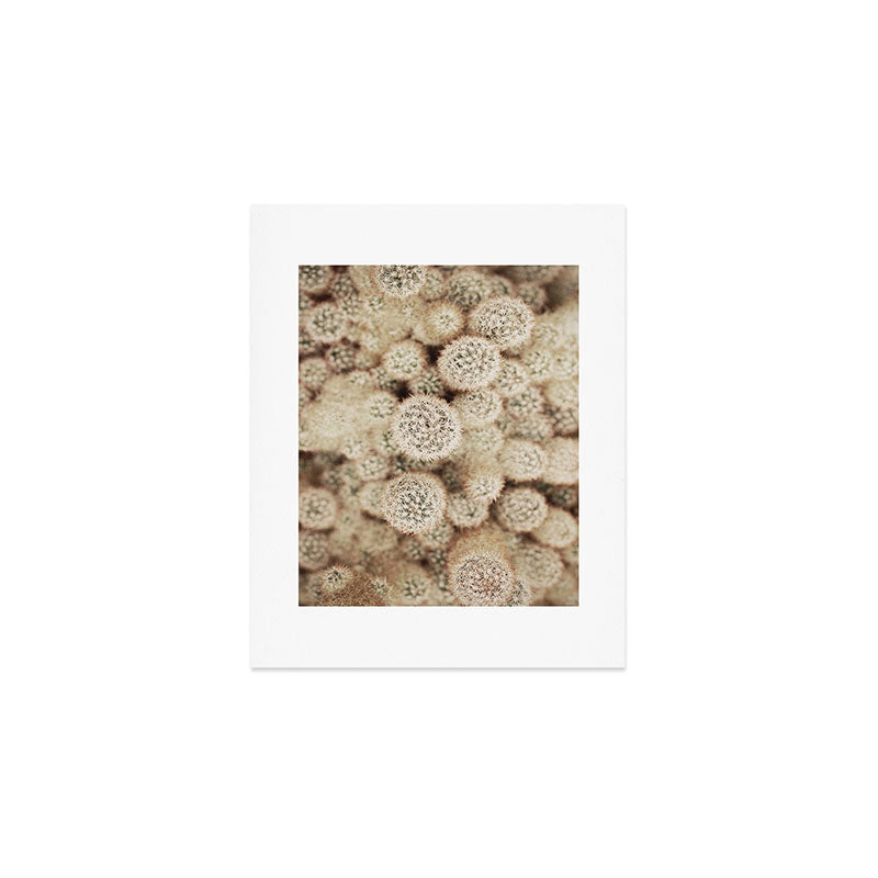 Chihuahuan Desert Cactus x West Texas Photography Art Print Gallery Image 1