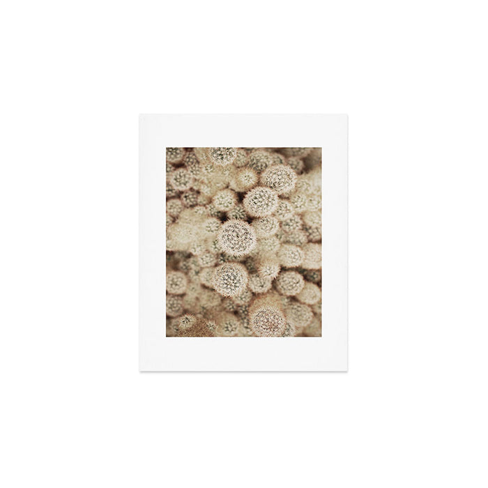 Chihuahuan Desert Cactus x West Texas Photography Art Print Gallery Image 1