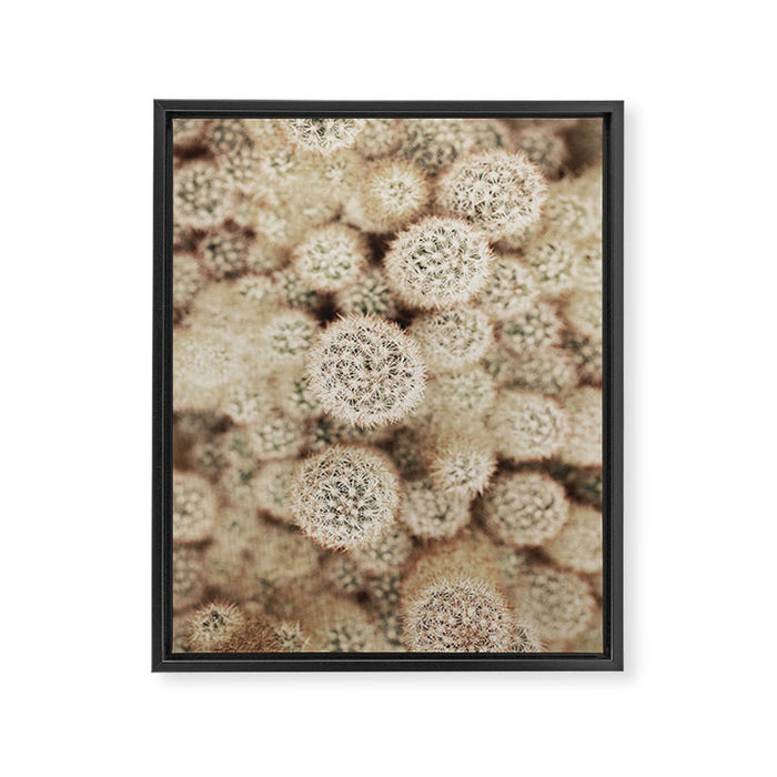 Chihuahuan Desert Cactus x West Texas Photography Framed Canvas Print Gallery Image 1