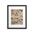 Chihuahuan Desert Cactus x West Texas Photography Framed Art Print Gallery Image 5