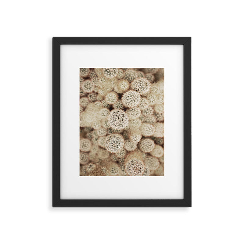 Chihuahuan Desert Cactus x West Texas Photography Framed Art Print Gallery Image 5