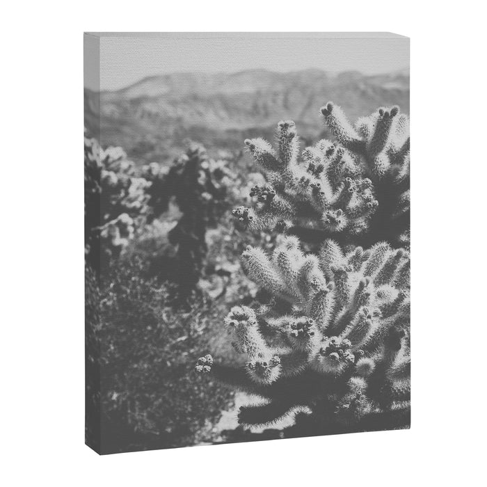 Cholla Cactus Garden (Black + White) Canvas Print Gallery Image 1