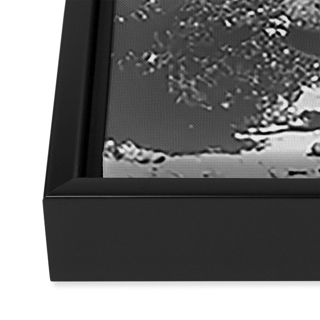 Cholla Cactus Garden (Black + White) Framed Canvas Print Gallery Image 3