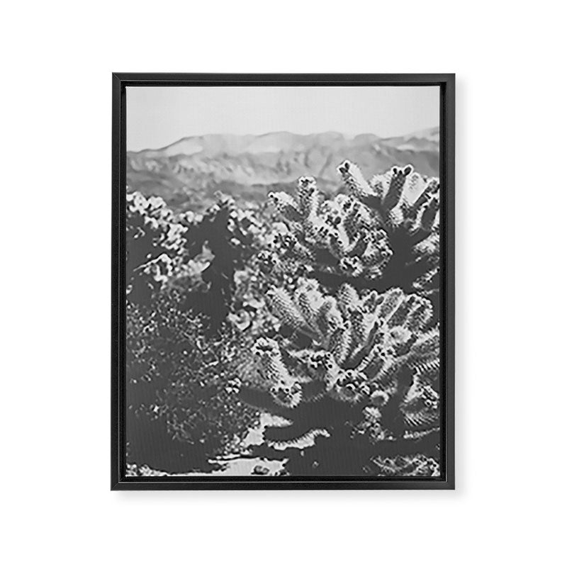 Cholla Cactus Garden (Black + White) Framed Canvas Print Gallery Image 6