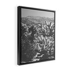 Cholla Cactus Garden (Black + White) Framed Canvas Print Gallery Image 2