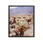 Chollo Cactus Garden - Joshua Tree Framed Canvas Print Gallery Image 6