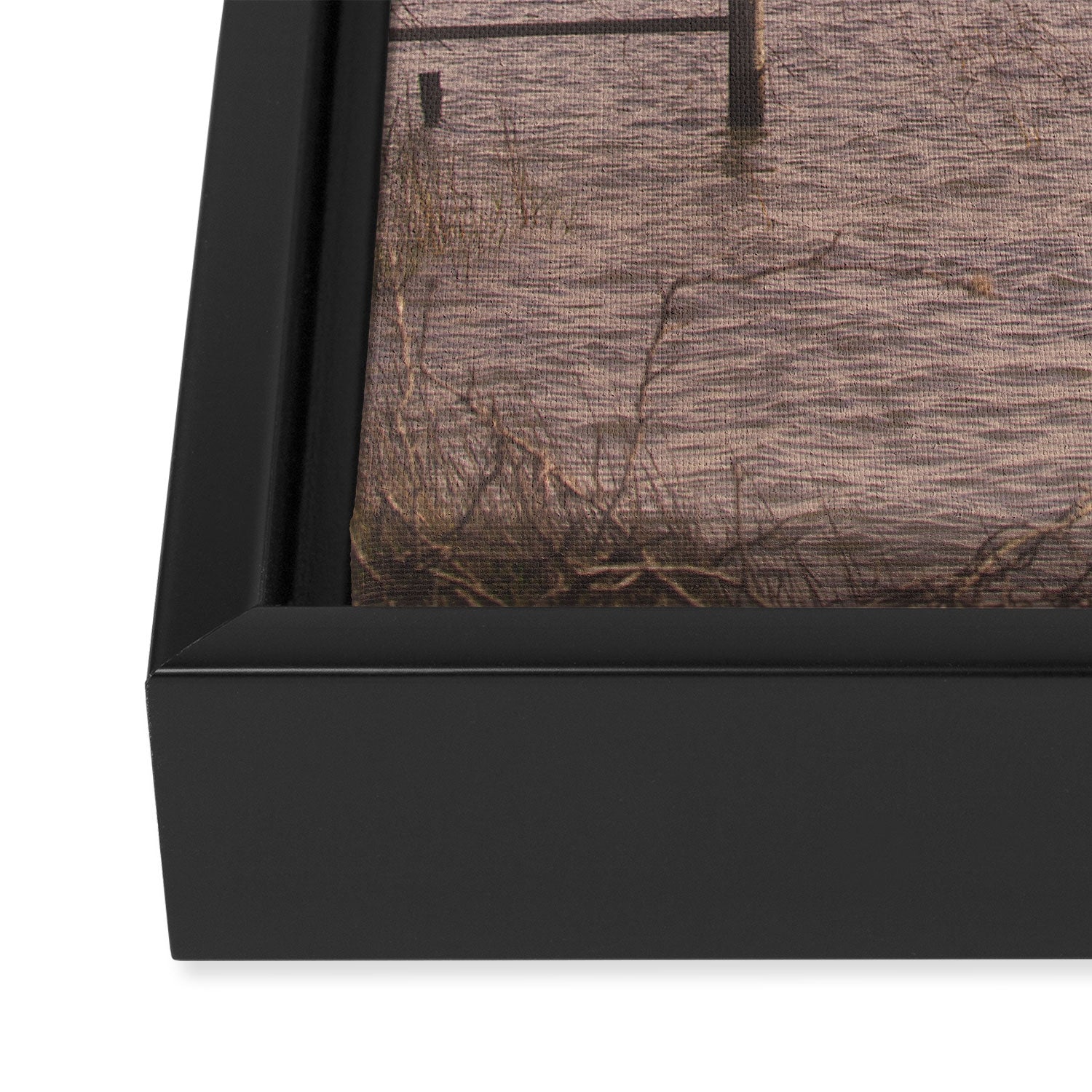 Coastal Morning Framed Canvas Print Gallery Image 3