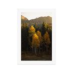 Colorado Mountain Morning Art Print Gallery Image 1