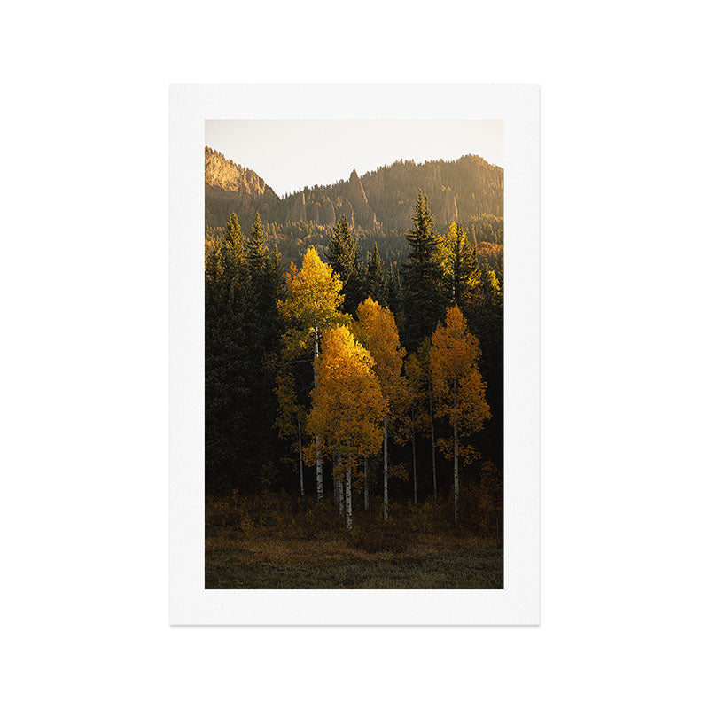 Colorado Mountain Morning Art Print Gallery Image 1