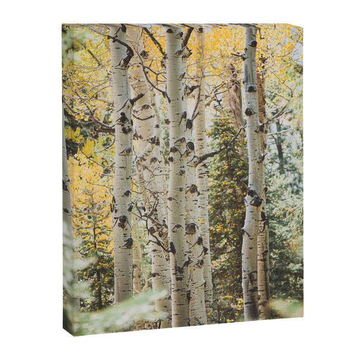 Colorful Colorado II x Golden Aspens Canvas Print Gallery Image 1