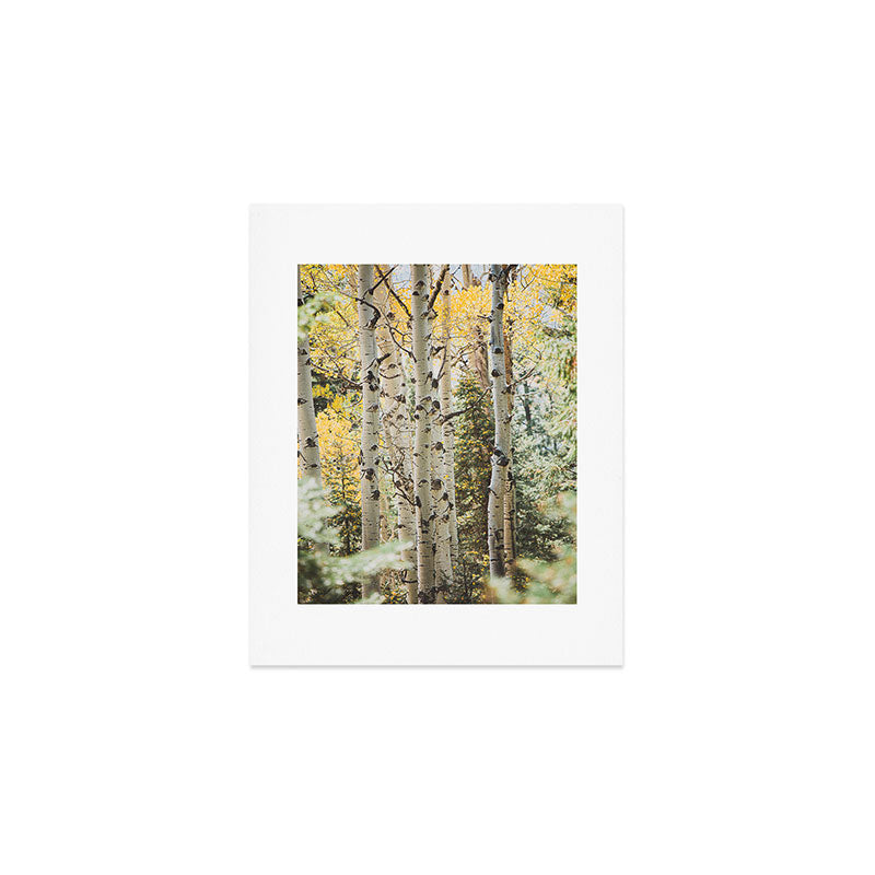 Colorful Colorado II x Golden Aspens Art Print Gallery Image 1