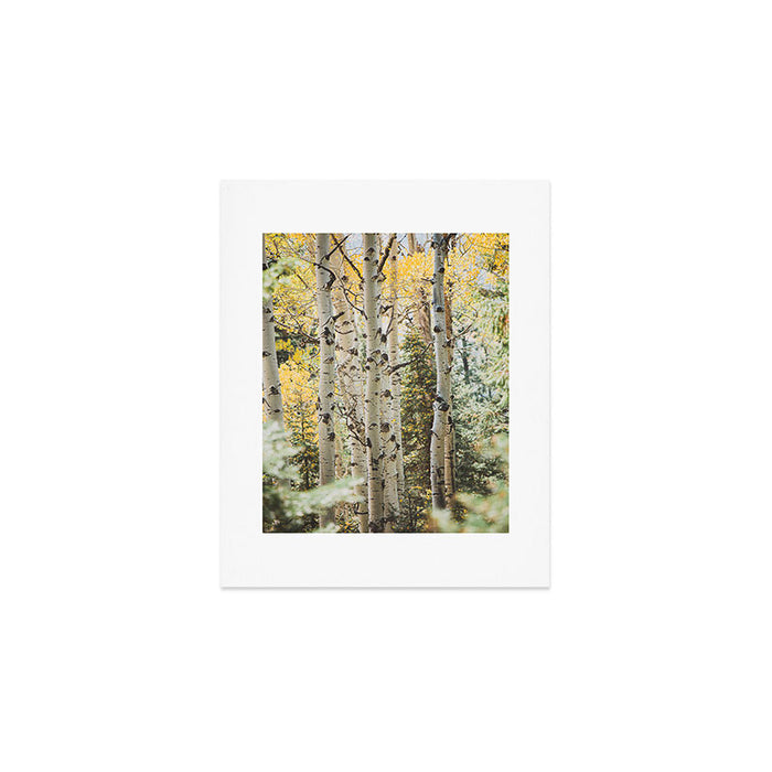Colorful Colorado II x Golden Aspens Art Print Gallery Image 1