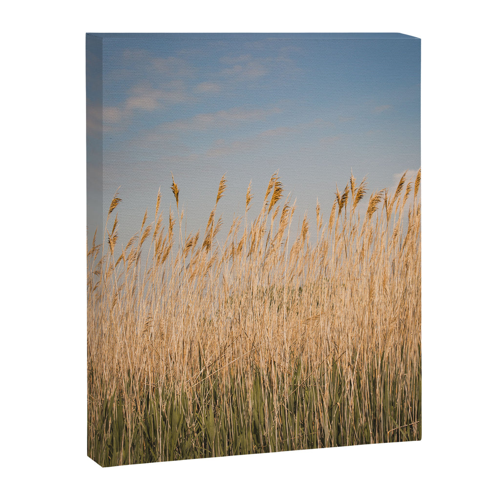 Colors of Nantucket Canvas Print Gallery Image 6