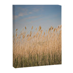 Colors of Nantucket Canvas Print Gallery Image 6