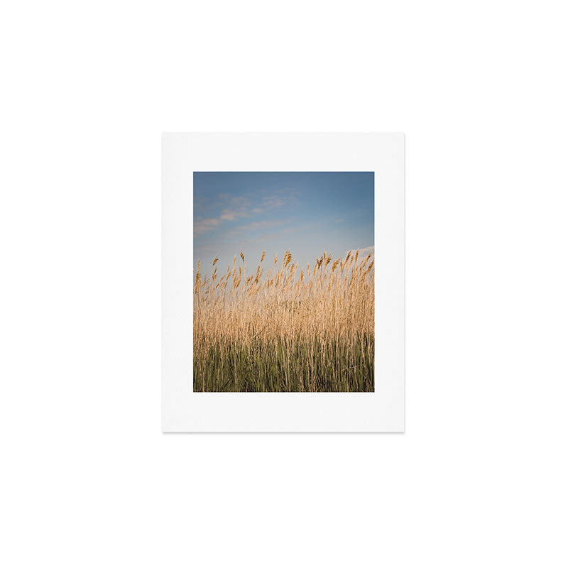 Colors of Nantucket Art Print Gallery Image 1
