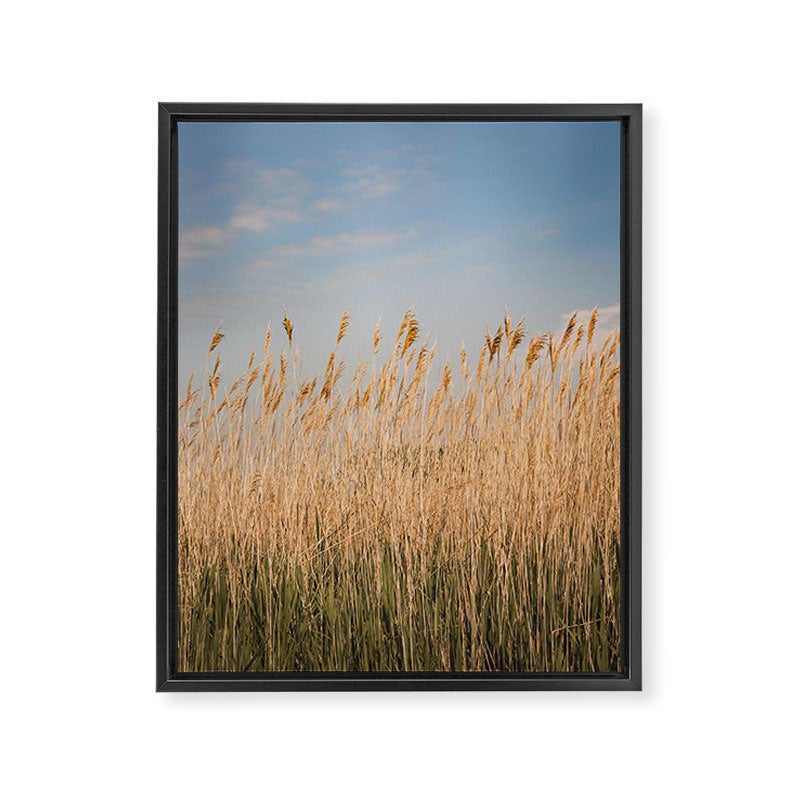 Colors of Nantucket Framed Canvas Print Gallery Image 6
