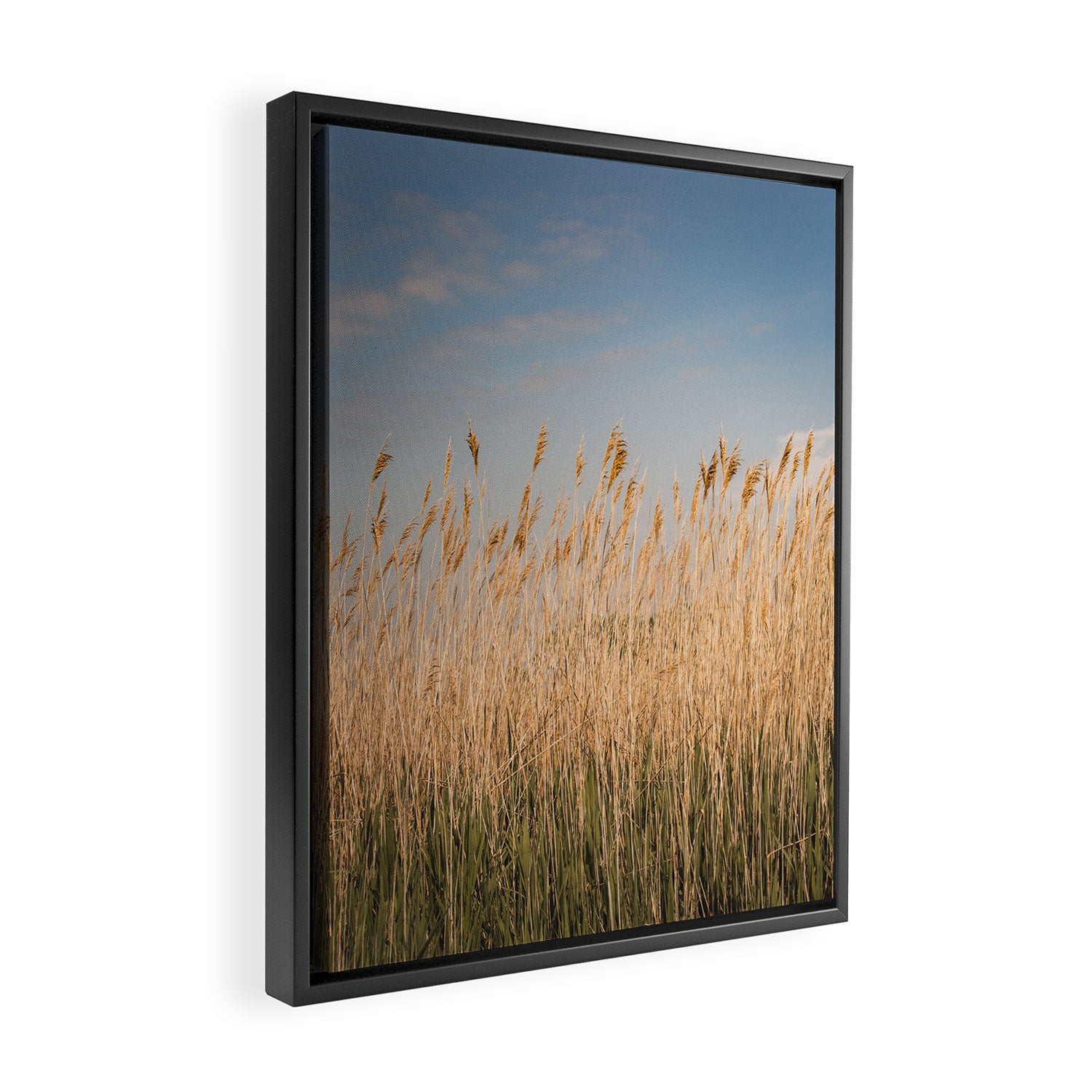 Colors of Nantucket Framed Canvas Print Gallery Image 2