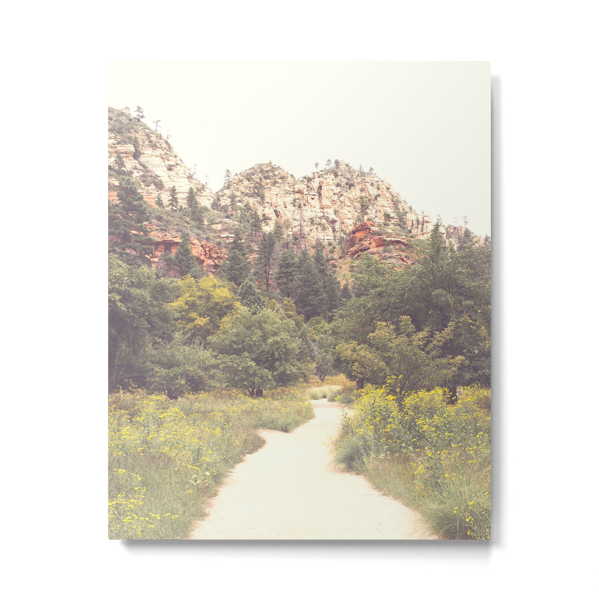 Colors of Sedona Metal Print Gallery Image 4