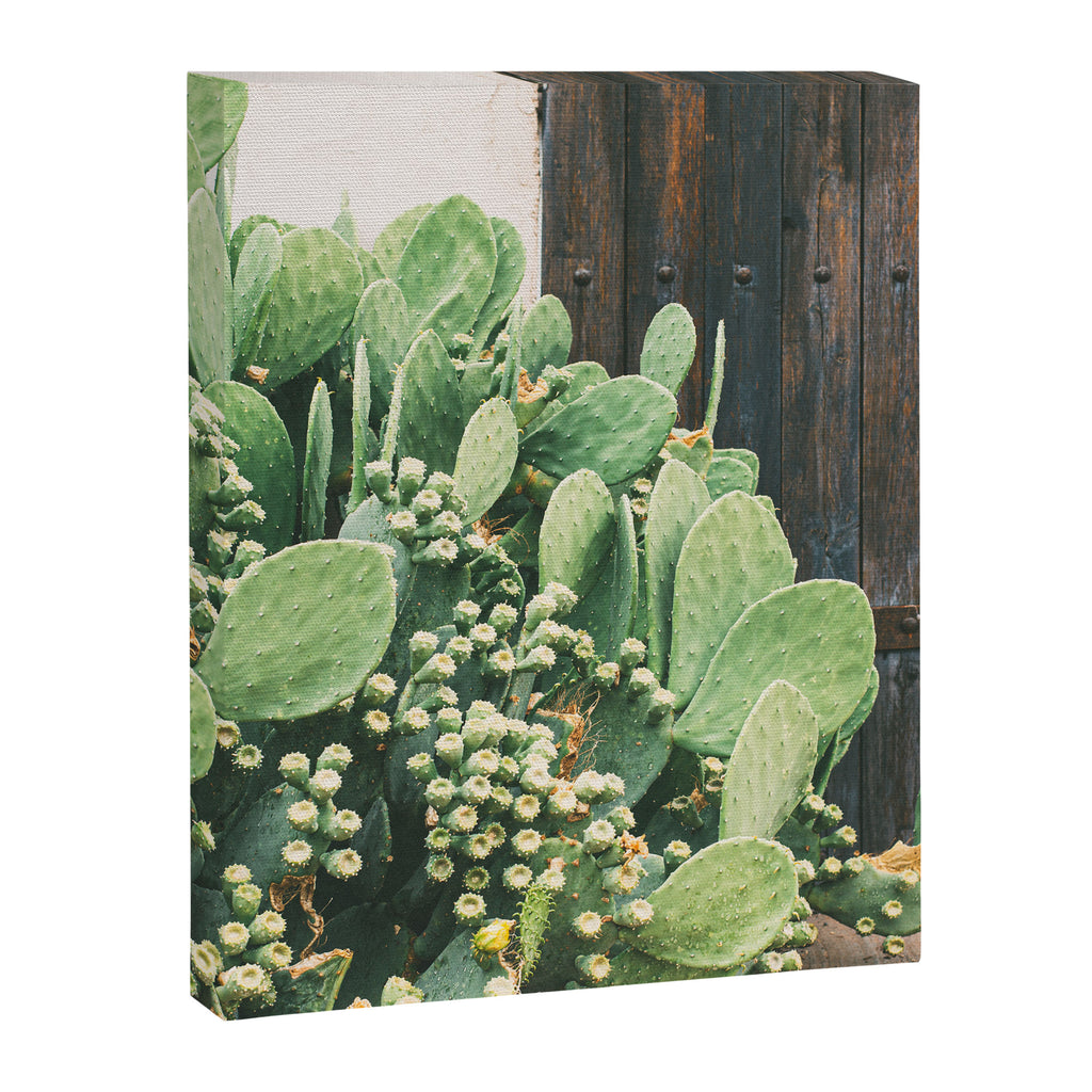 Colors of the Southwest Canvas Print Gallery Image 6