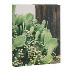 Colors of the Southwest Canvas Print Gallery Image 6