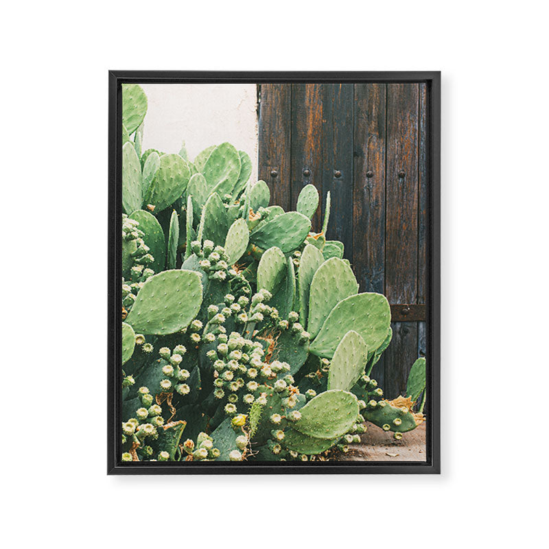 Colors of the Southwest Framed Canvas Print Gallery Image 6