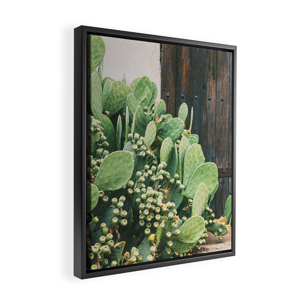 Colors of the Southwest Framed Canvas Print Gallery Image 2