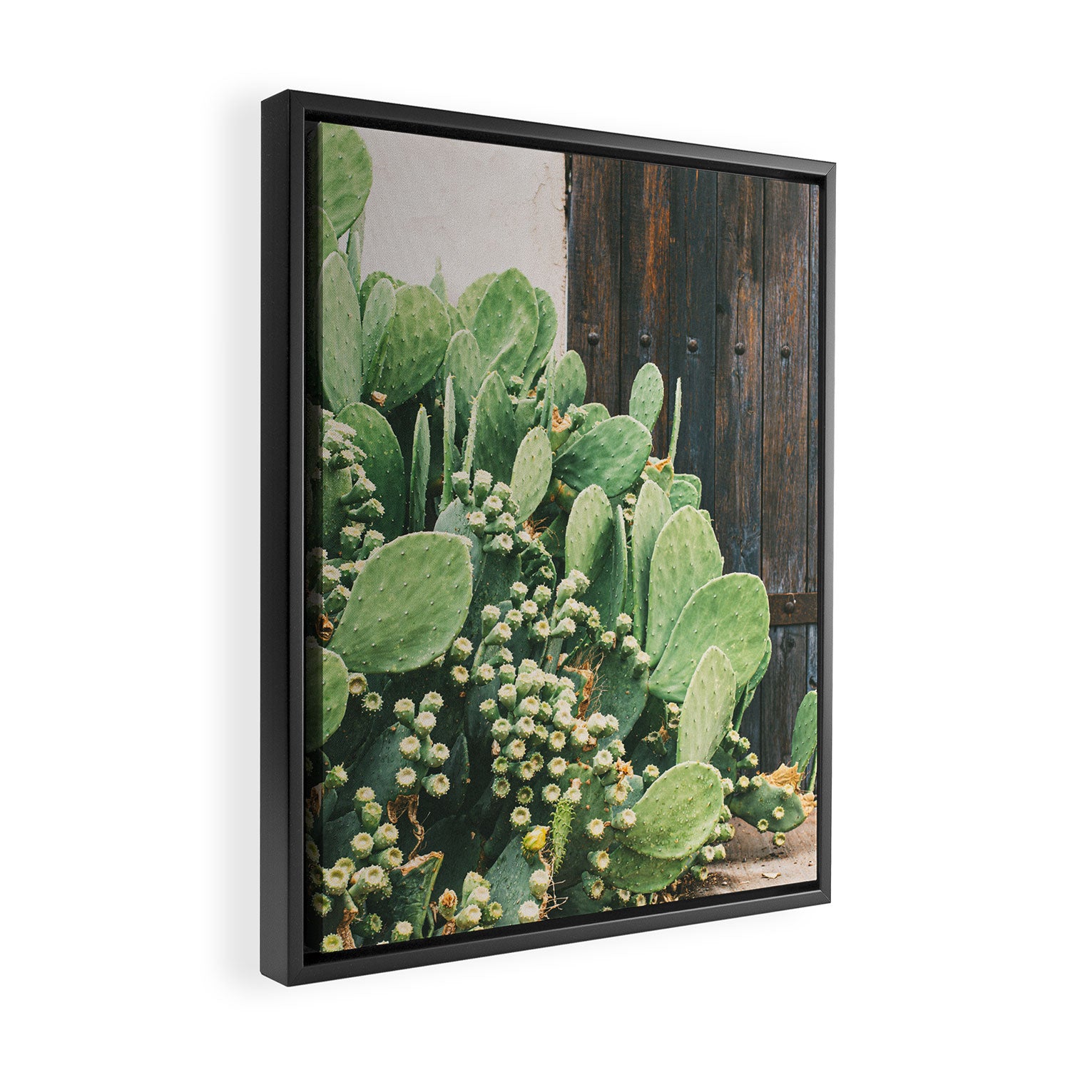 Colors of the Southwest Framed Canvas Print Gallery Image 2