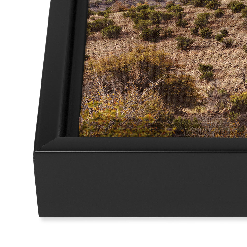 Davis Mountains Vista West Texas Photography Framed Canvas Print Gallery Image 3