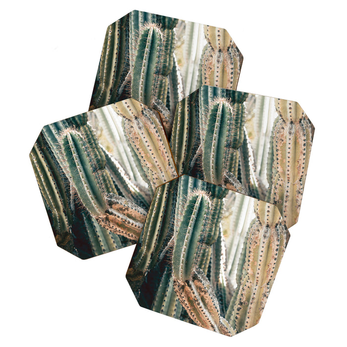 Desert Ombre Coaster Gallery Image 1