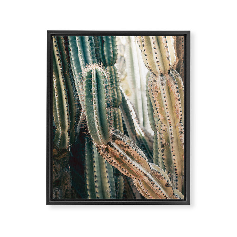 Desert Ombre Framed Canvas Print Gallery Image 6