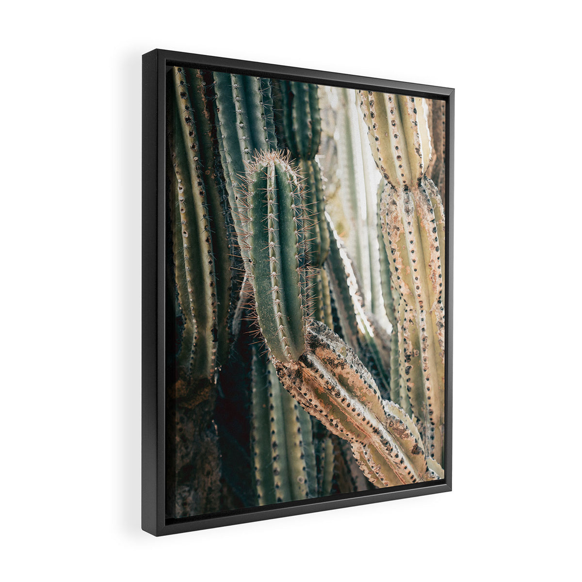 Desert Ombre Framed Canvas Print Gallery Image 2