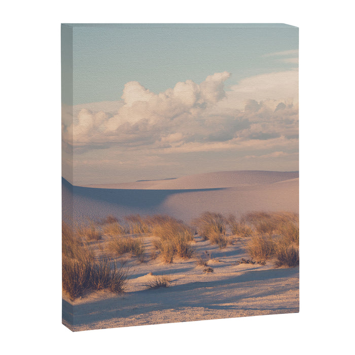 Desert Sunset Canvas Print Gallery Image 1