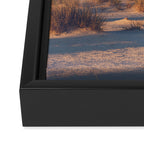Desert Sunset Framed Canvas Print Gallery Image 3