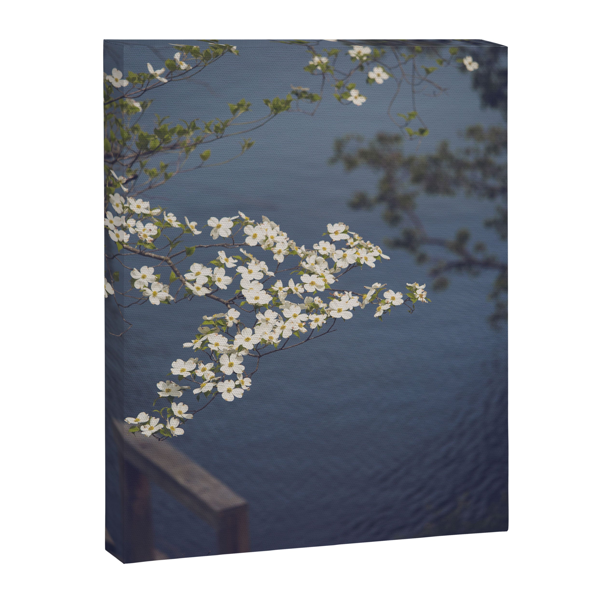 Dogwoods at the Lake x White Dogwoods in Bloom Photography Canvas Print Gallery Image 6