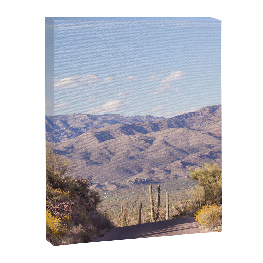 Down Desert Roads, IV Canvas Print Gallery Image 6
