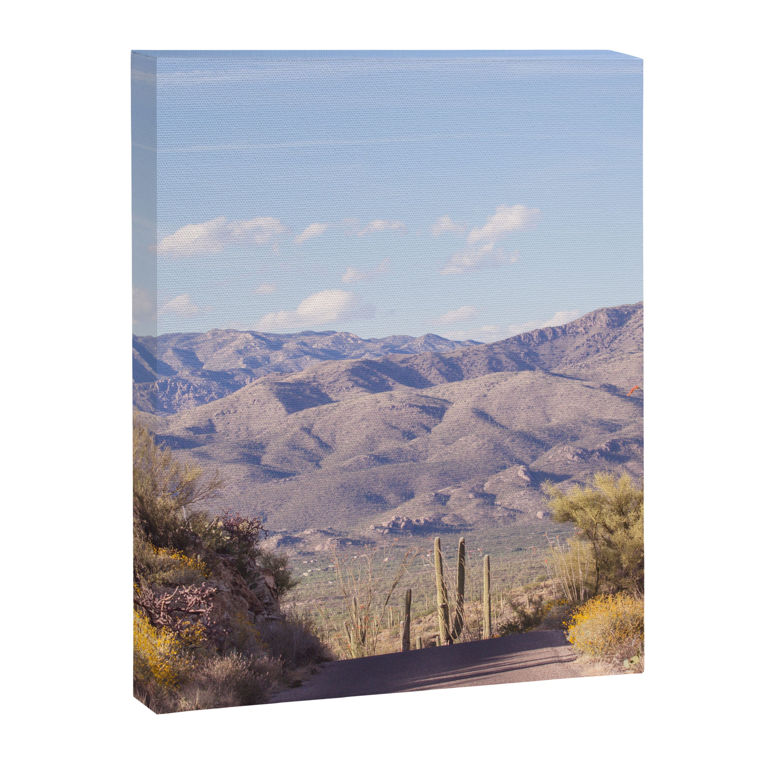 Down Desert Roads, IV Canvas Print Gallery Image 6