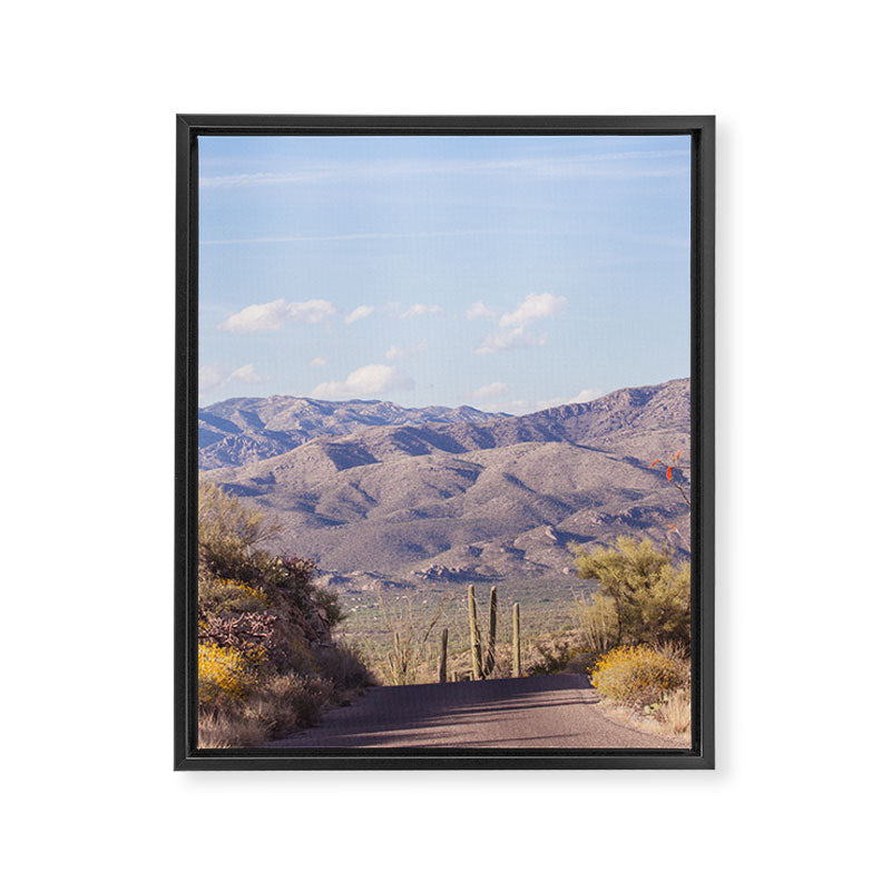 Down Desert Roads, IV Framed Canvas Print Gallery Image 6