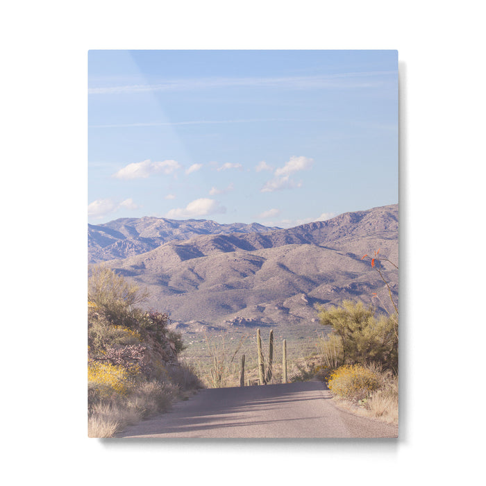 Down Desert Roads, IV Metal Print Gallery Image 1