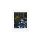 Fall Creek Art Print Gallery Image 1