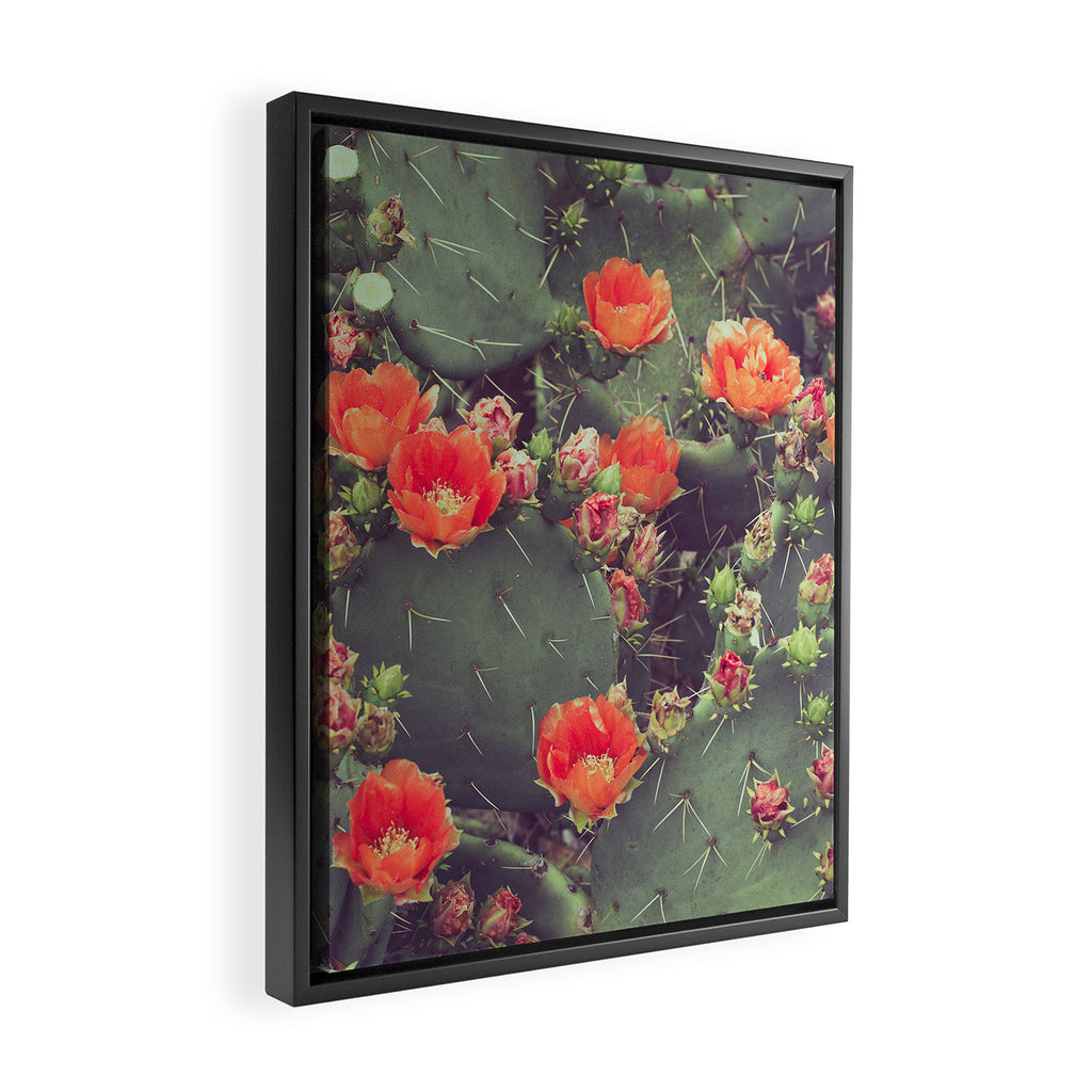 Flamenco Framed Canvas Print Gallery Image 2