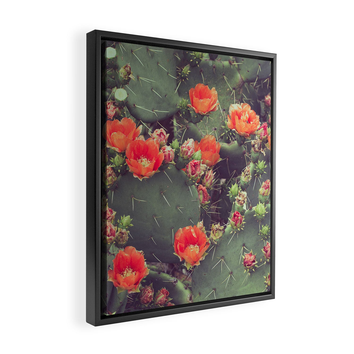 Flamenco Framed Canvas Print Gallery Image 2
