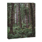 Forest Dark, Forest Deep III Canvas Print Gallery Image 6