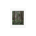 Forest Dark, Forest Deep III Art Print Gallery Image 1