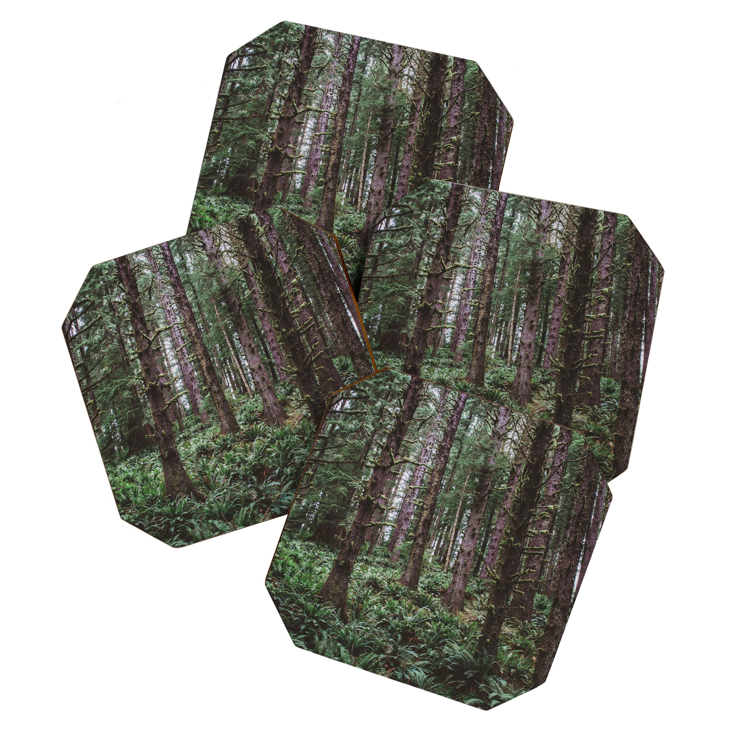 Forest Dark, Forest Deep III Coaster Gallery Image 1