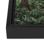 Forest Dark, Forest Deep III Framed Canvas Print Gallery Image 3