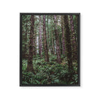 Forest Dark, Forest Deep III Framed Canvas Print Gallery Image 6