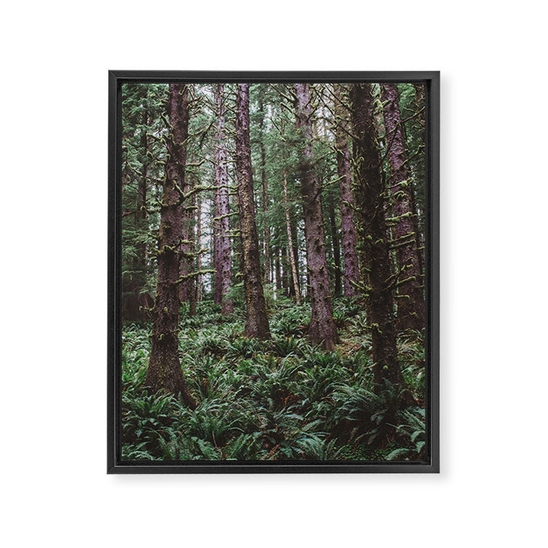 Forest Dark, Forest Deep III Framed Canvas Print Gallery Image 6